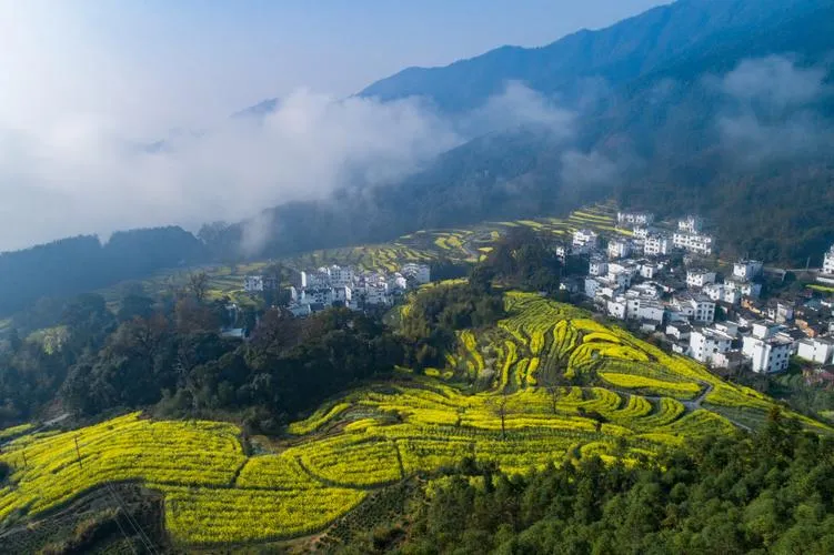 Wuyuan's terraced rapeseed fields in spring