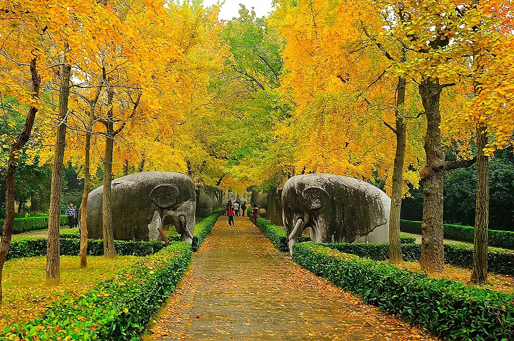 The spirit path at Ming Xiaoling, lined with stone elephant statues