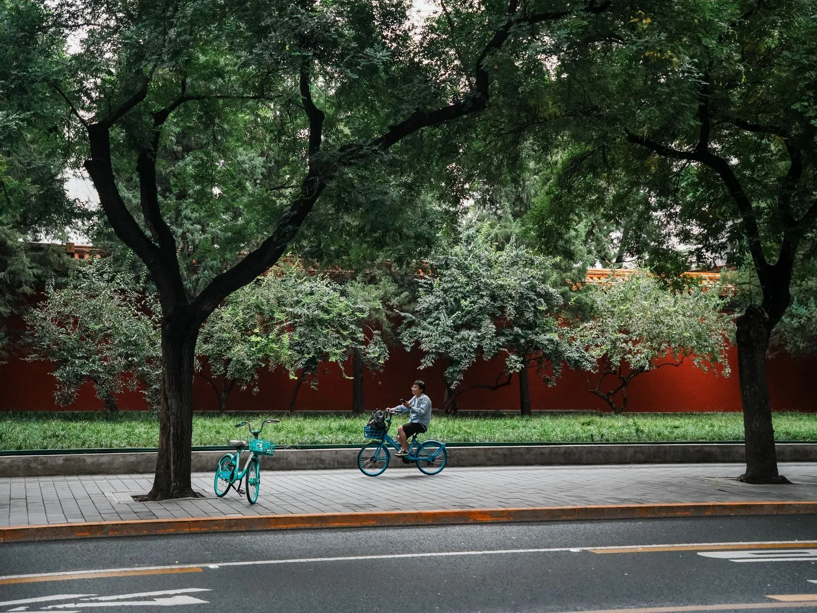 A cyclist on a Chinese city street