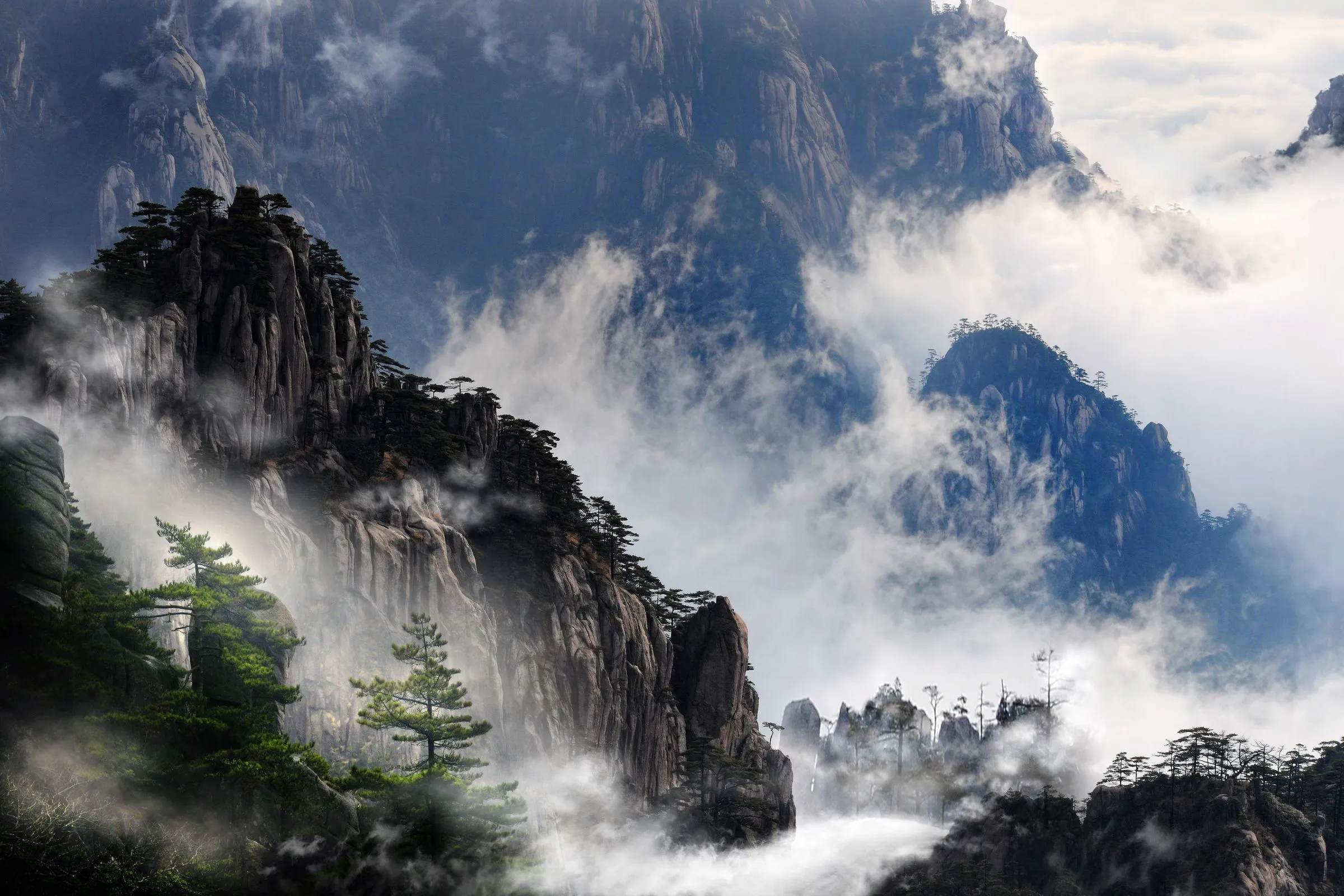 Huangshan granite summits wrapped in fog, pines clinging to the rock
