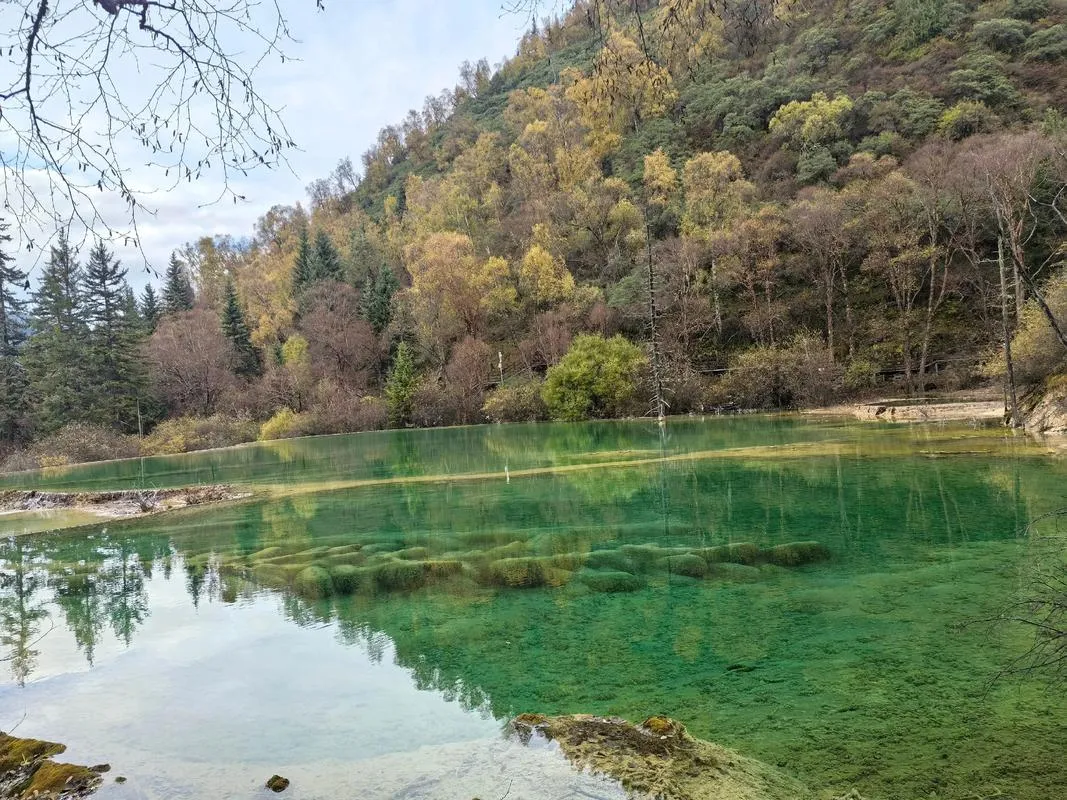 Five Flower Lake, the Jiuzhaigou postcard