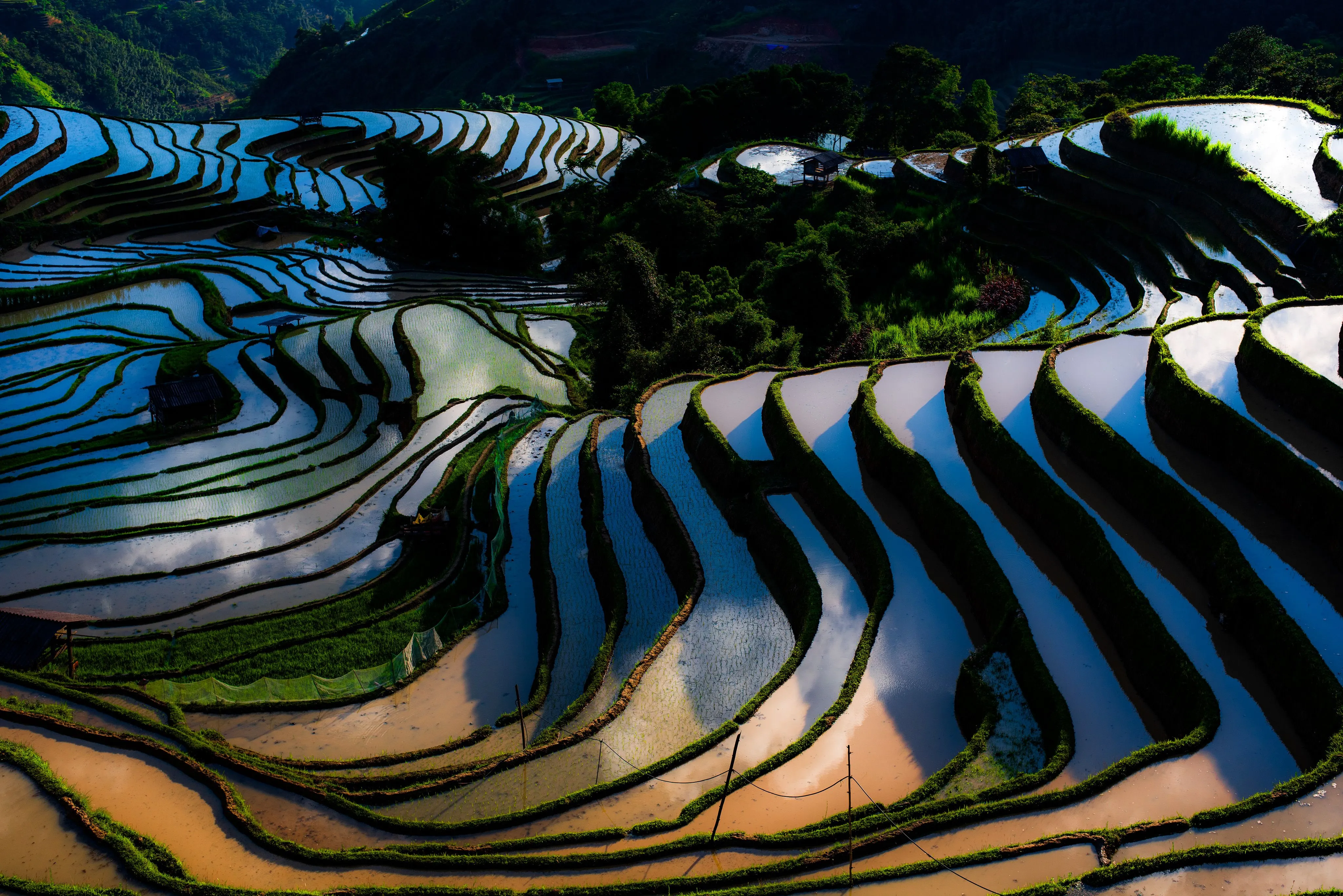 Yuanyang rice terraces at sunrise, mirrored water reflecting clouds over 3,700 stepped levels