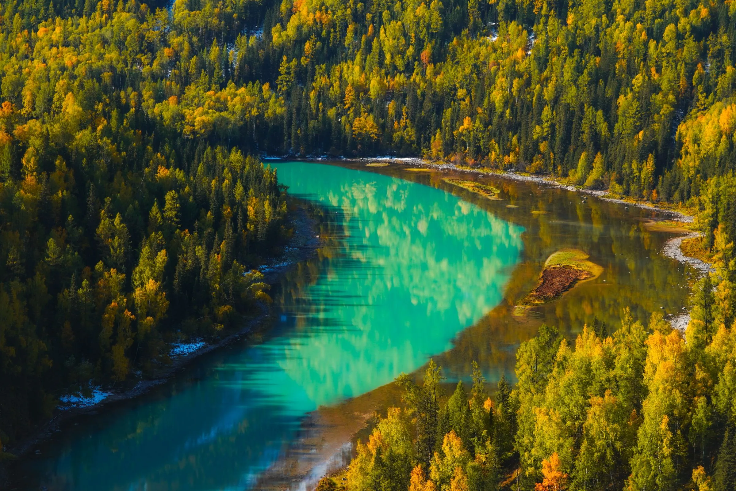 Kanas river winding through golden autumn forest