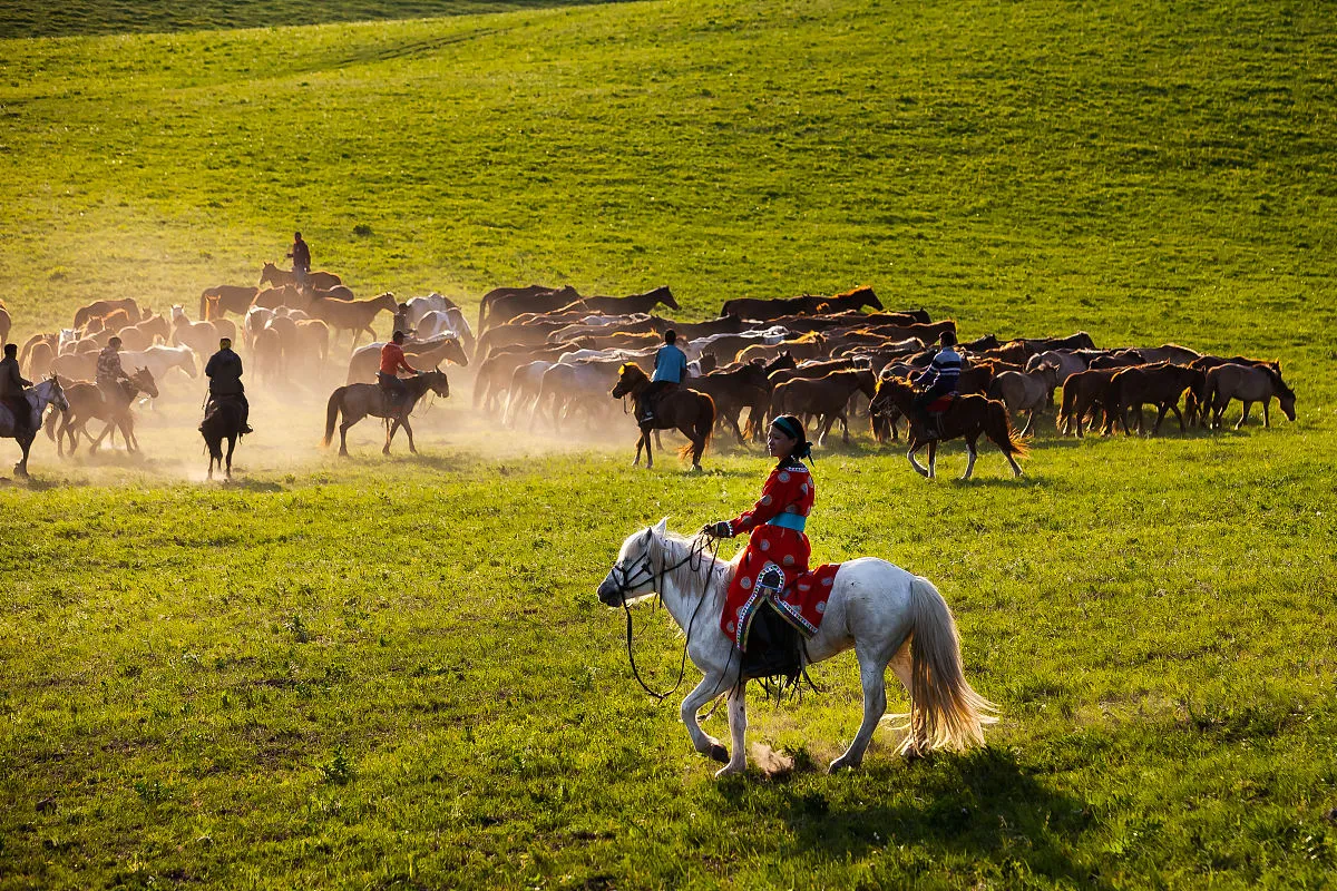 Riders moving a horse herd across the steppe