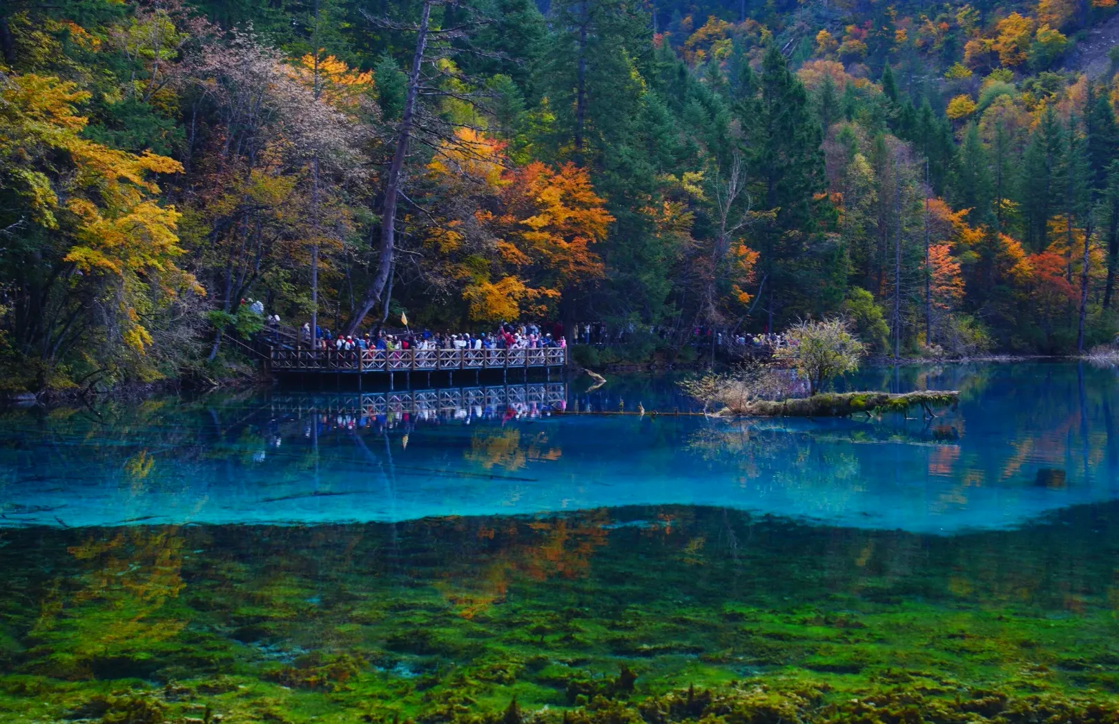 Jiuzhaigou's autumn colour reflected in the valley's turquoise lakes