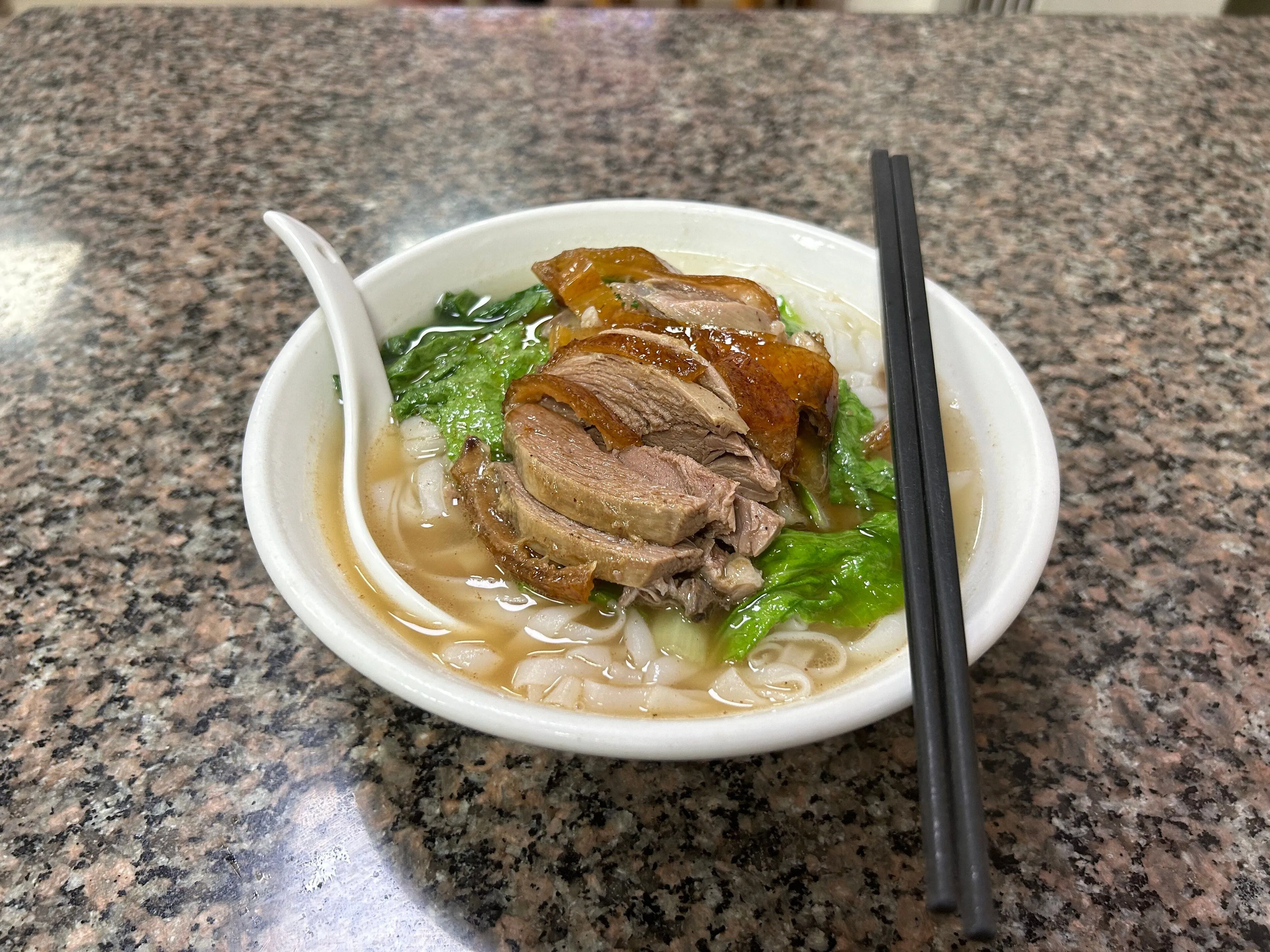A bowl of roast duck noodle soup, Guangzhou
