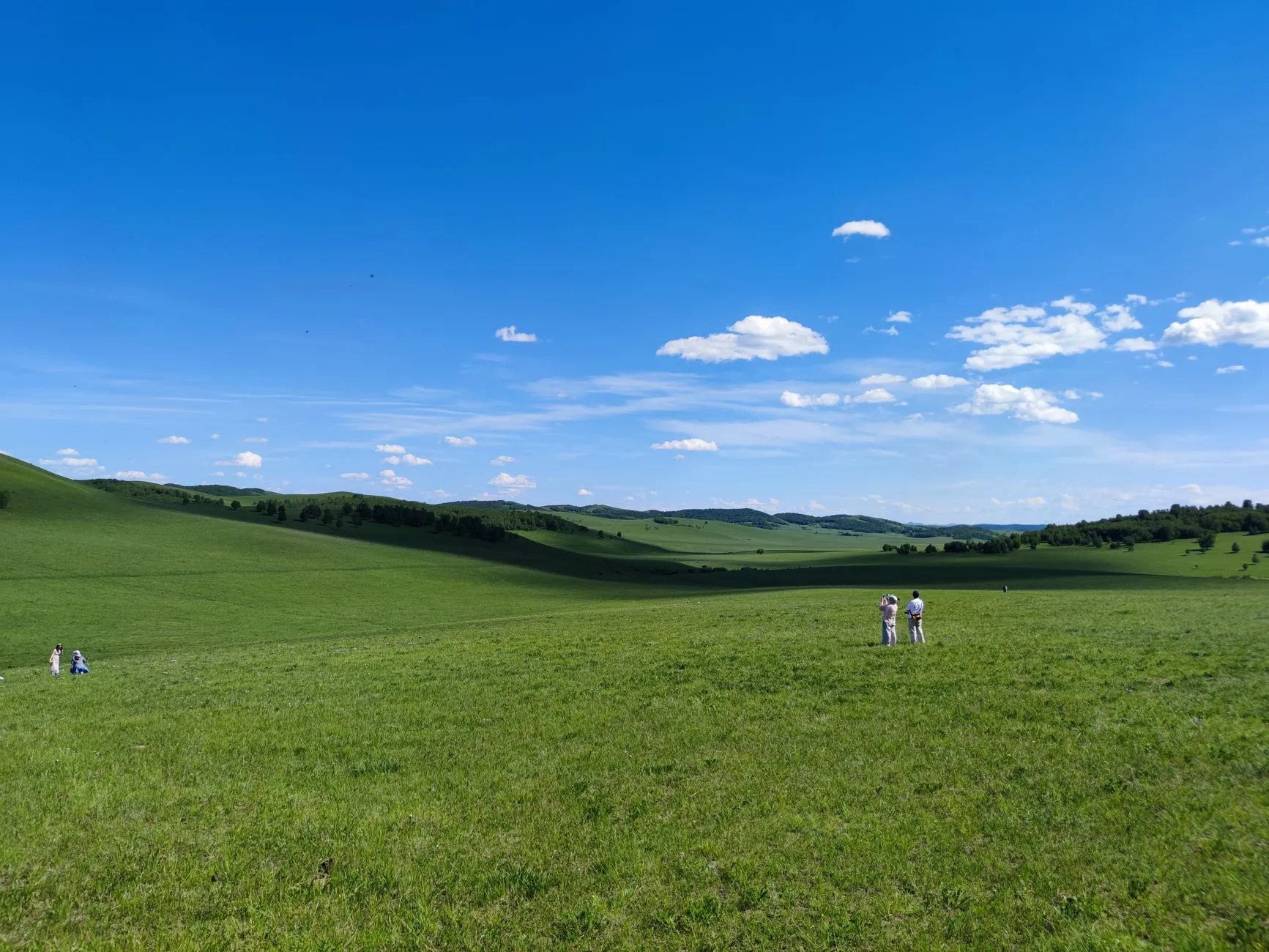 Summer grassland rolling to the horizon under a clear blue sky