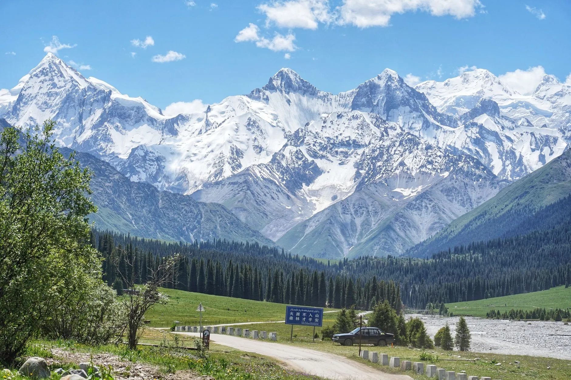 Tian Shan snow peaks with meadow, spruce forest and Chinese fire-safety sign