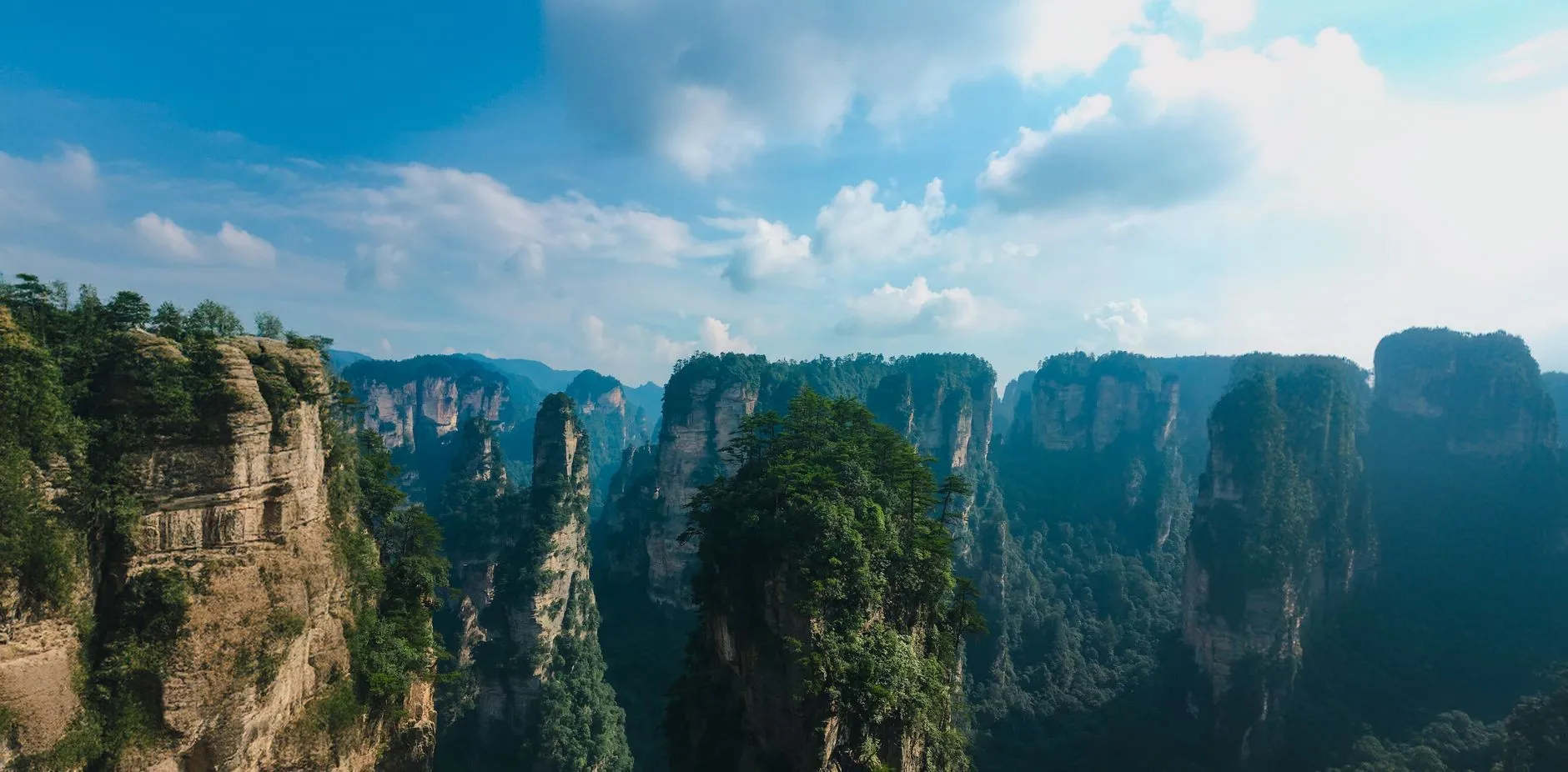 Zhangjiajie quartz-sandstone pillar forest stretching to the horizon