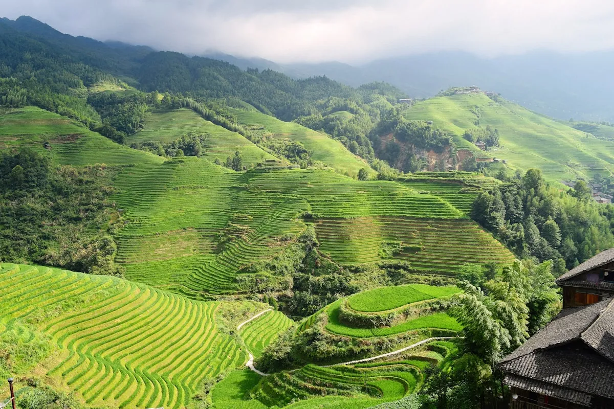 Yuanyang Rice Terraces at sunrise reflecting golden light
